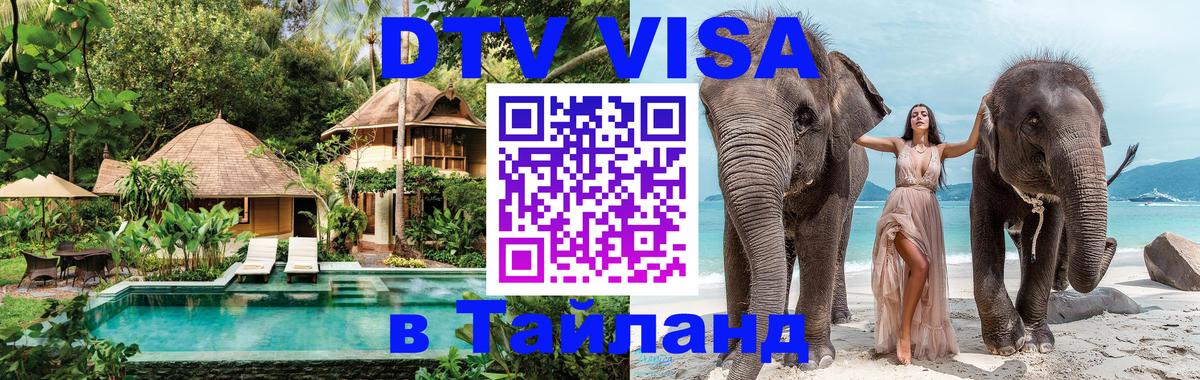 Сколько стоит DTV виза — актуальные цены, оформление даже без документов - Краснодар  21.11.2025 